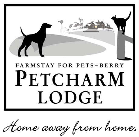 petcharm-logo-web-(Clear)